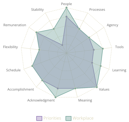 radar chart of a job aligned with priorities